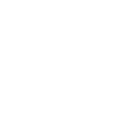 Genesis Fellowship